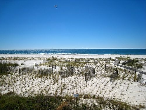 Our back yard--Gulf of Mexico