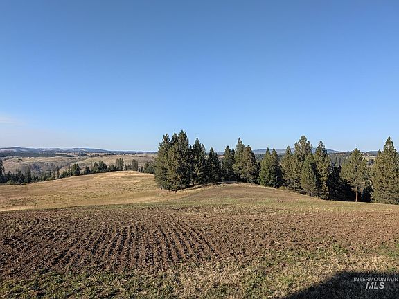 5th image of 1249 Battle Ridge Rd