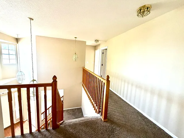 58 Burgundy Ln — Photo 8