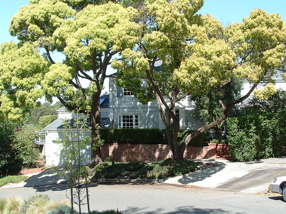 View from Montrose Rd