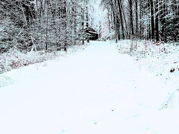 Beauty on the mountain