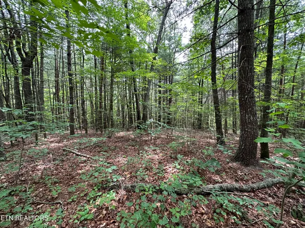 0 Towee Falls Rd, Tellico Plains, TN 37385