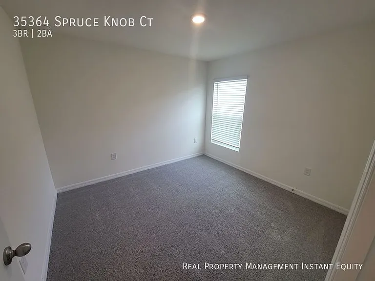 35364 Spruce Knob Ct — Photo 13