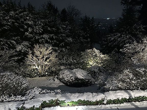 Backyard with snow