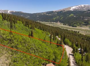 1255 Quartzville Rd, Alma, CO 80420