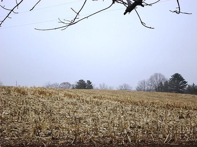 1st image of 0 Ivy Ave