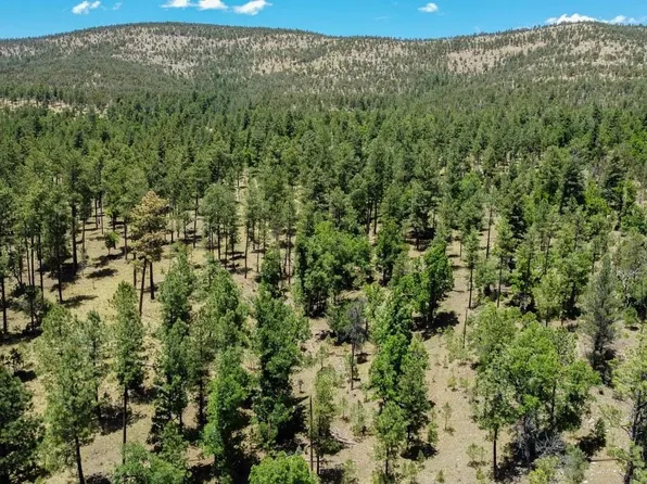1015 Canyon Rd #16, Cloudcroft, NM 88317