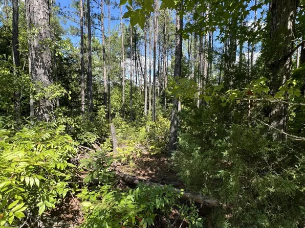 0 County Road 38 County Rd #2, Jemison, AL 35085