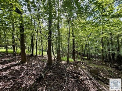 1675 Farmbrook Rd, Ridgeway, VA, 24148