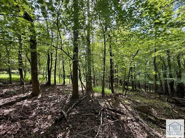 1675 Farmbrook Rd, Ridgeway, VA 24148