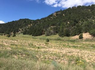 8167 County Road 28, Cotopaxi, CO 81223