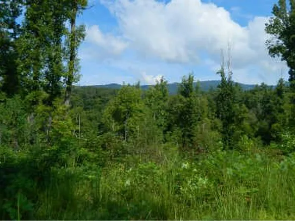 Robinson Ln, Hayesville, NC 28904
