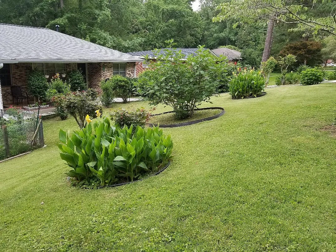 2 bed, 900 sqft, $1,500 — Photo 4