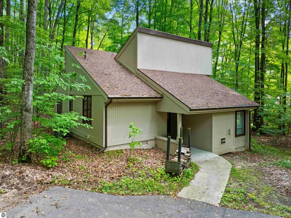 6555 Kliffendorf, Bellaire, MI 49615