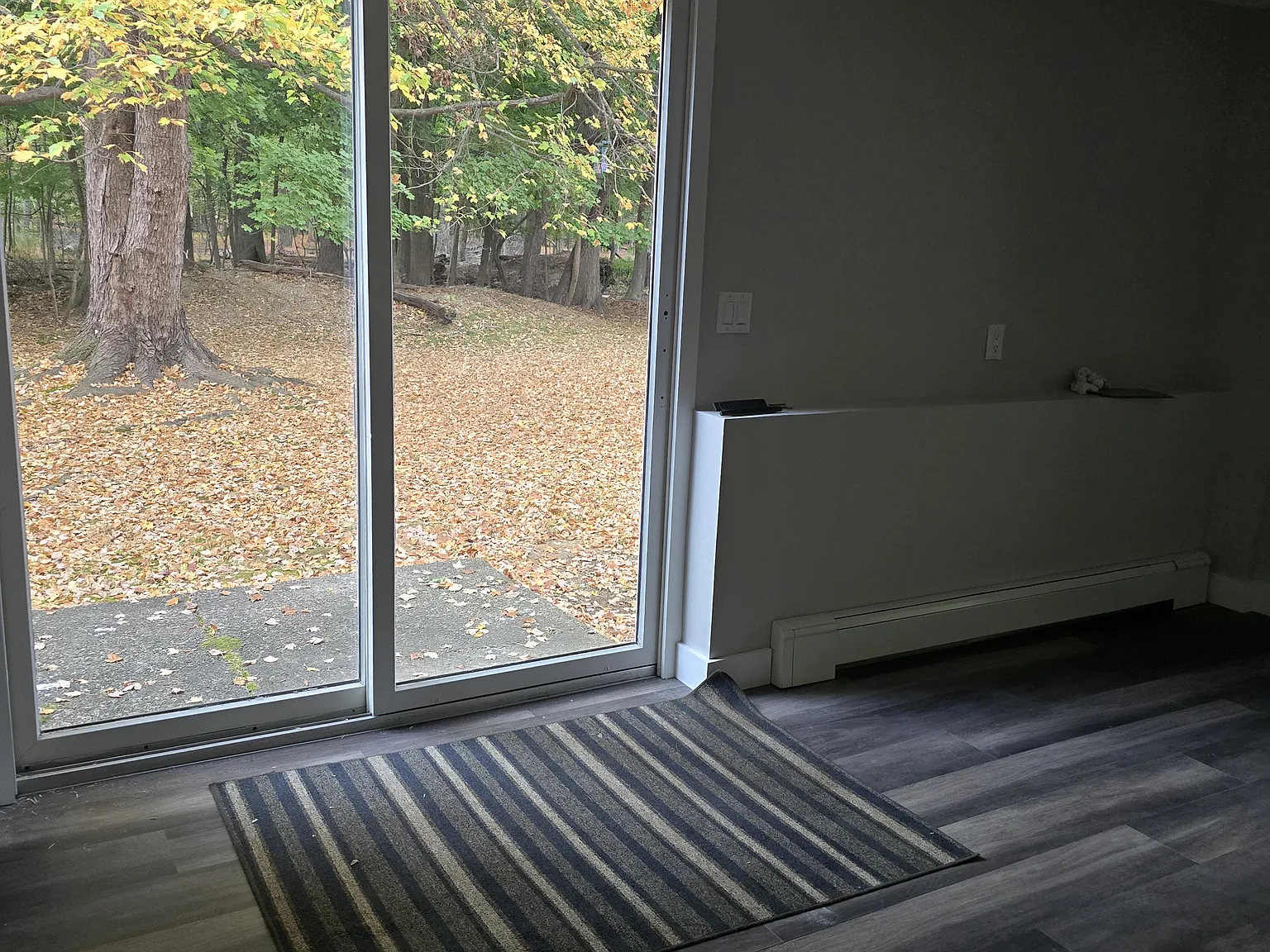 1 bed, 240 sqft, $1,600 — Photo 2