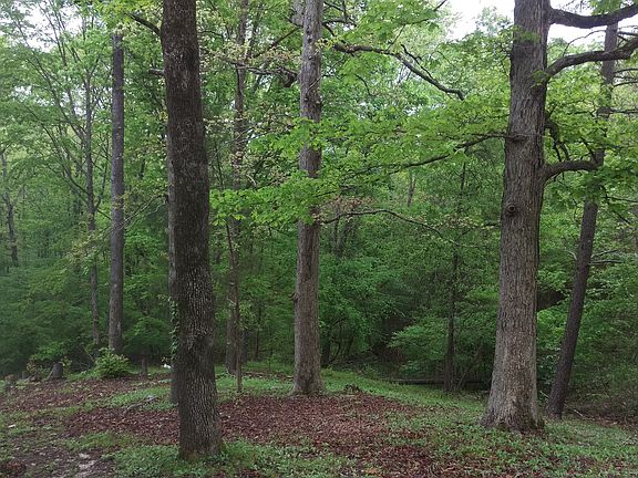 Mature hard woods thruout