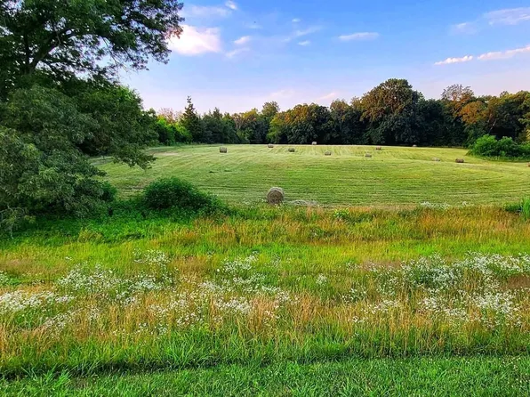 LOT 6 Phillips Rd, White Pine, TN 37890