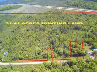 12521 S Maple Rd, Dafter, MI 49724