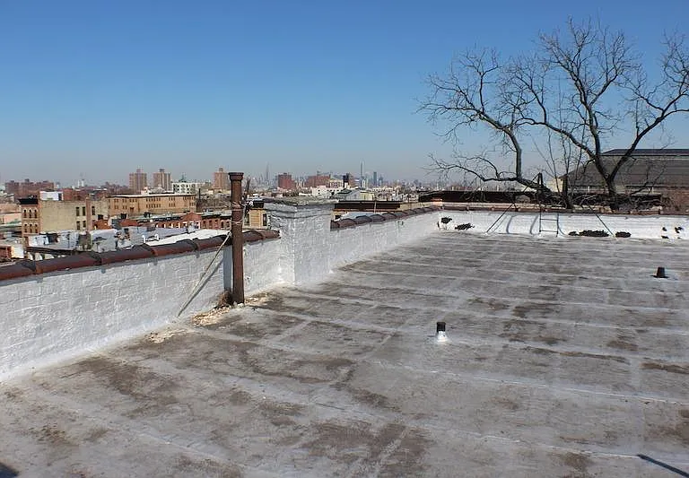 967 Bergen St #4D — Photo 7