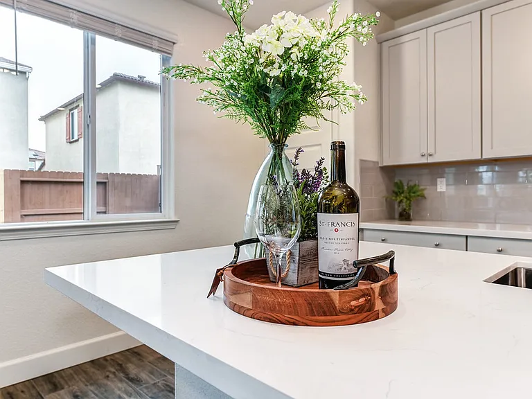 4025 Trinity Alps Way — Photo 17