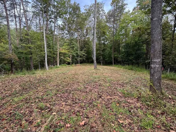 Plank Rd, Batesville, VA 22924