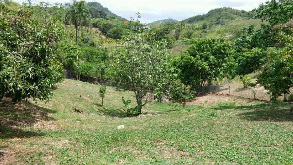 2nd image of II Quebrada Fajardo