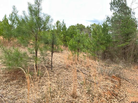 3rd image of TRACT 2 Venus Rd