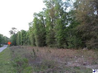 4 Reds Landing Rd, Andrews, SC 29510