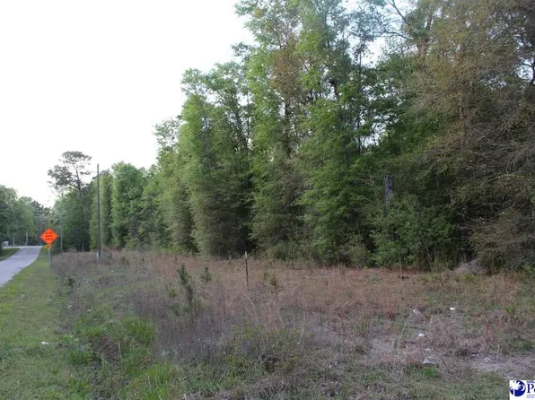 4 Reds Landing Rd, Andrews, SC 29510