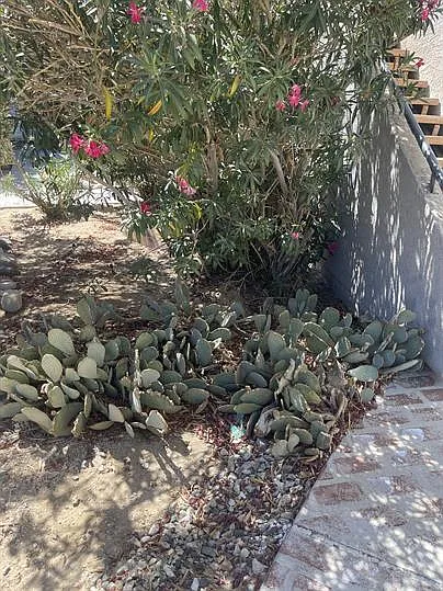 73843 Sunnyvale Dr — Photo 62