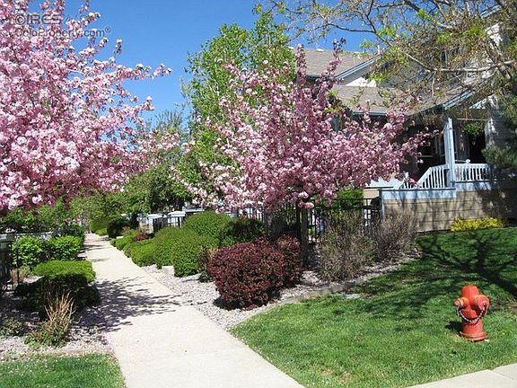 Spring Front
