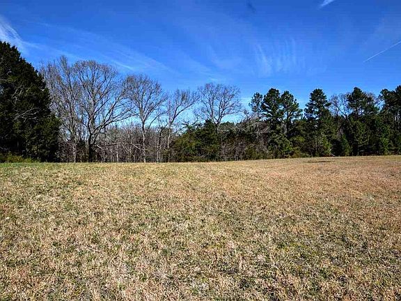 4th image of 4 08 Acres Rose Robinson Ln