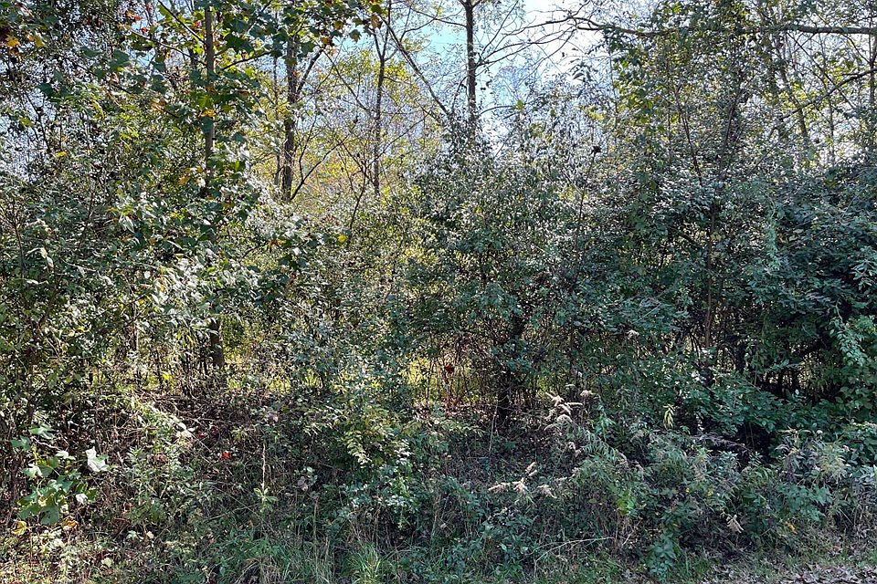 1st image of Lot 27 Deitz Cable Road LOT 27
