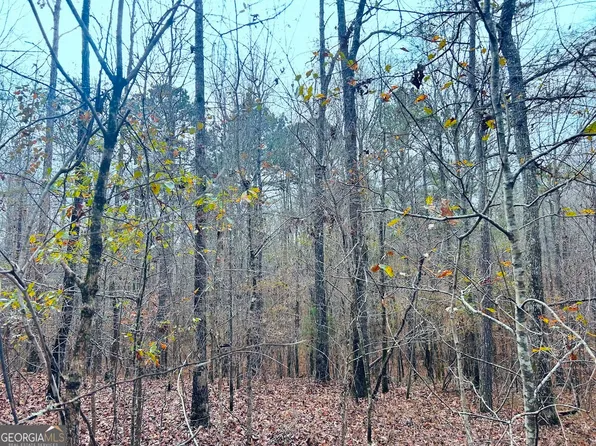 0 Hopeful Rd Lot 2, Munford, AL 36268