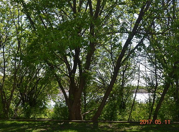 3rd image of 4424 Larkspur Ln