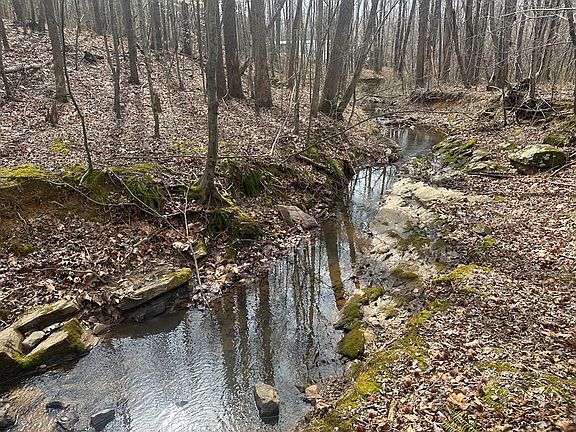 4th image of 35 Coxs Store Rd