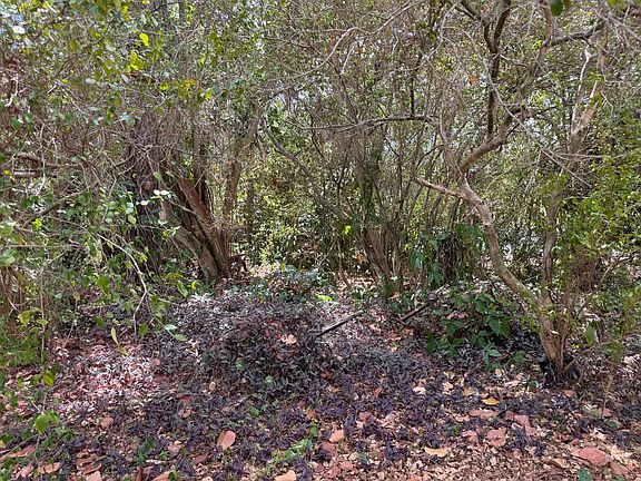 2nd image of 3358 S Jog Road