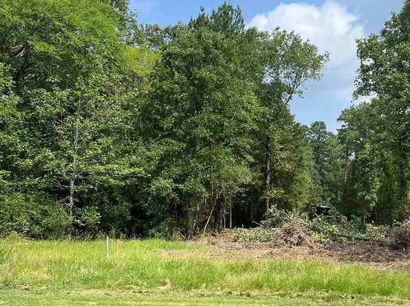 46 Greenway Dr Lot 23, Trinity, TX 75862