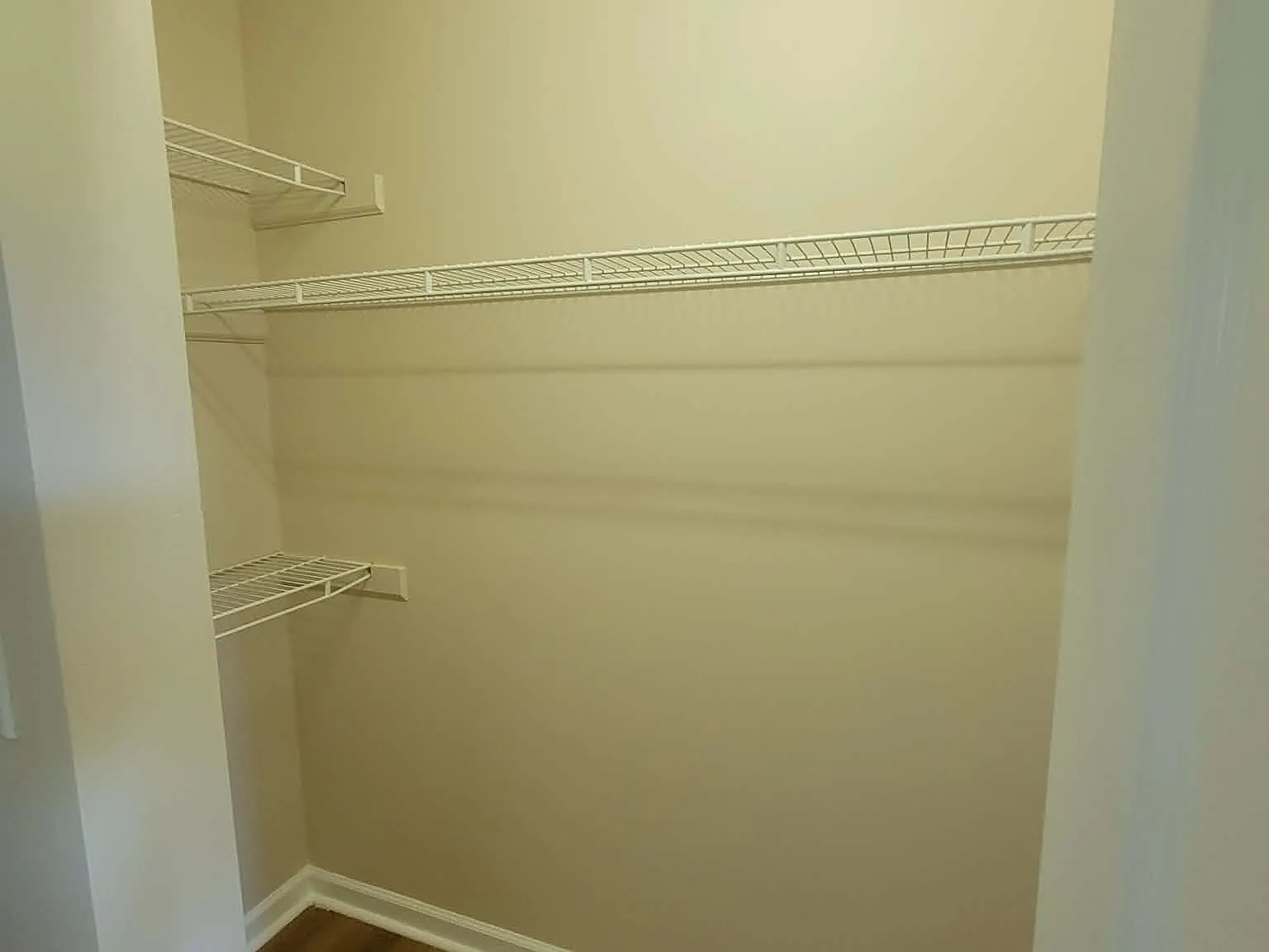 3 bed, 1200 sqft, $1,650 — Photo 2