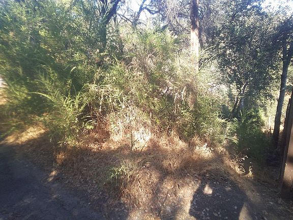 Native flora