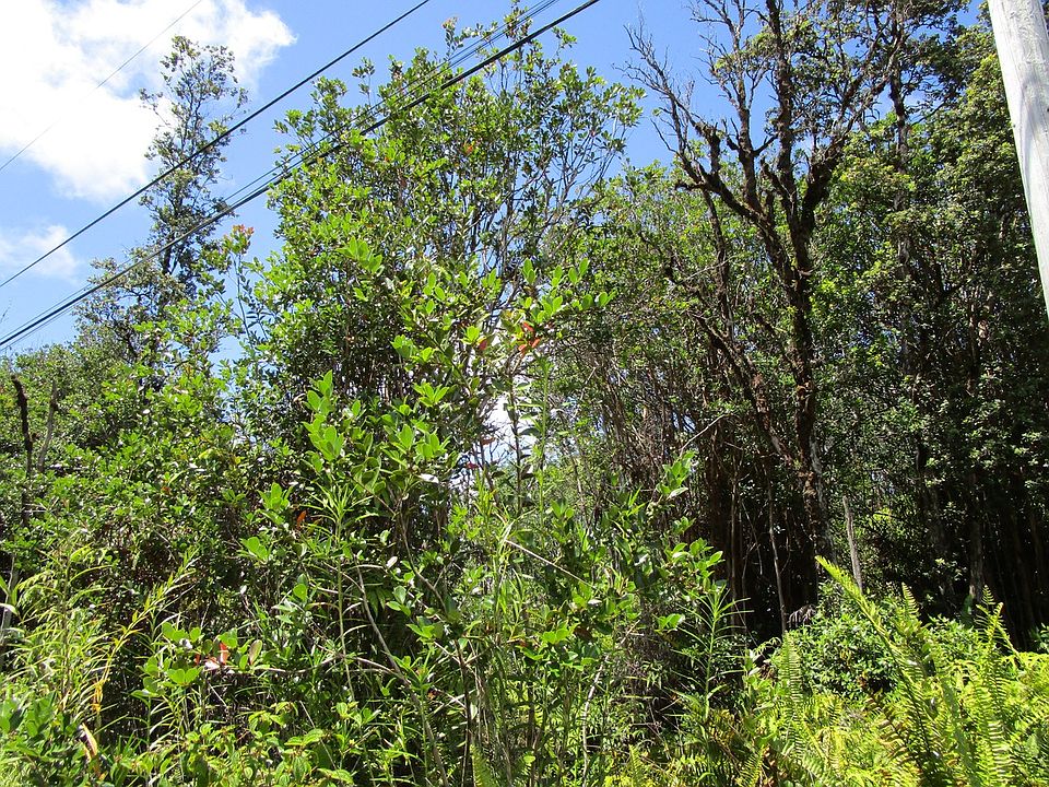 1st image of Road 7 Opeapea Lot 4750
