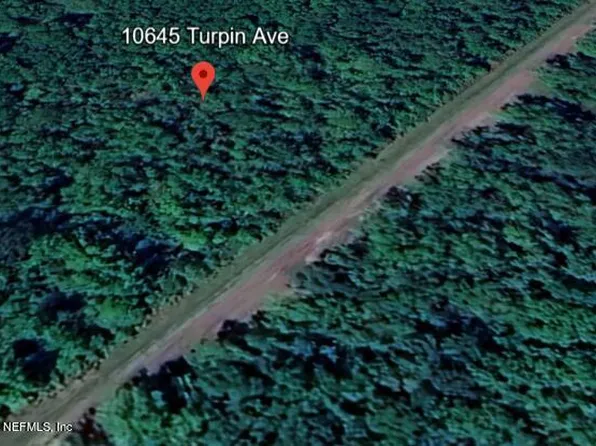 10645 TURPIN Avenue, Hastings, FL 32145