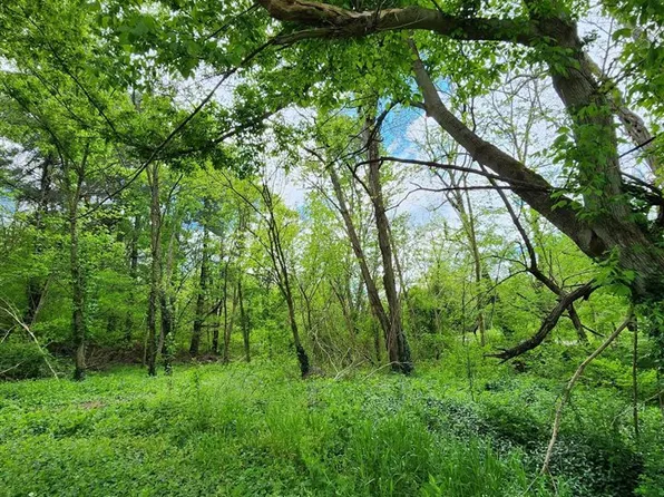 0 Rineyville Big Springs Rd, Rineyville, KY 40162