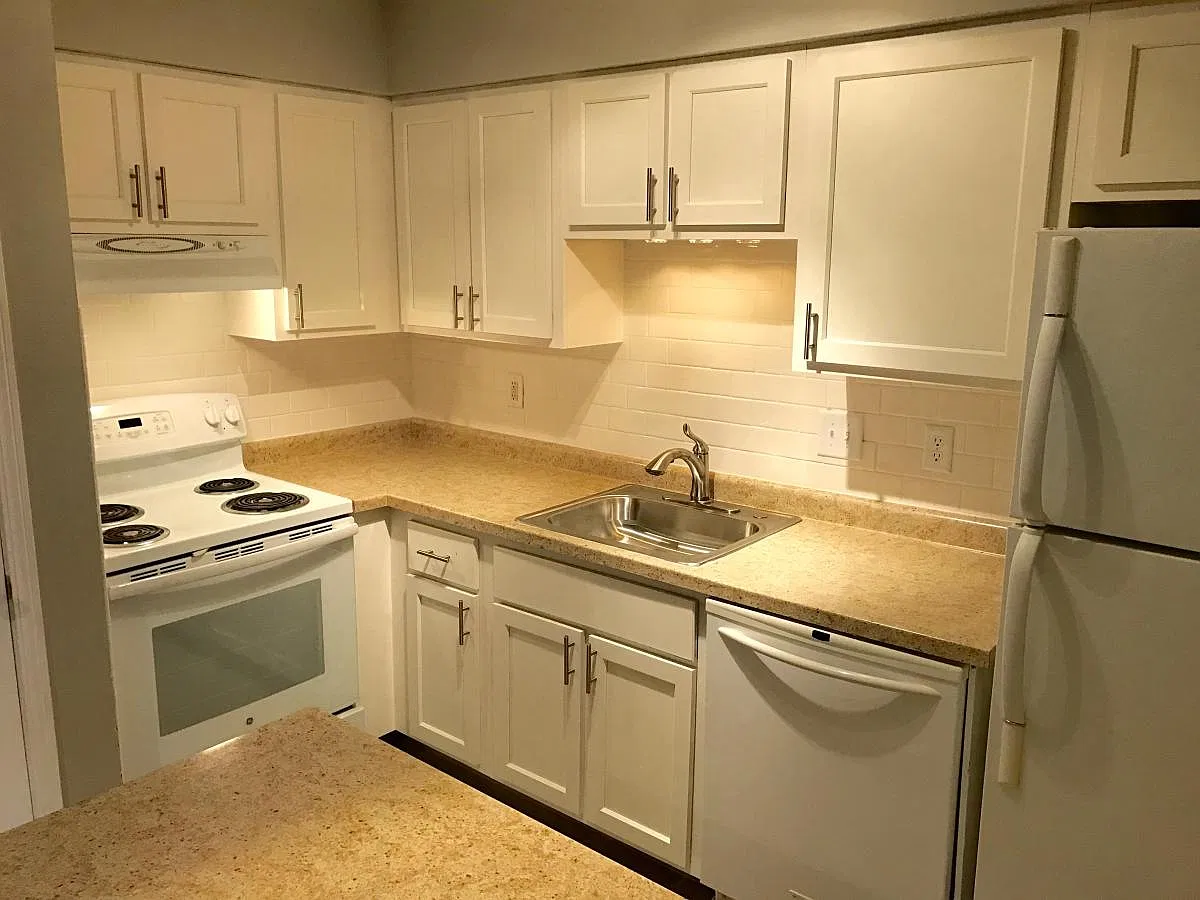 1 bed, $1,100 — Photo 1