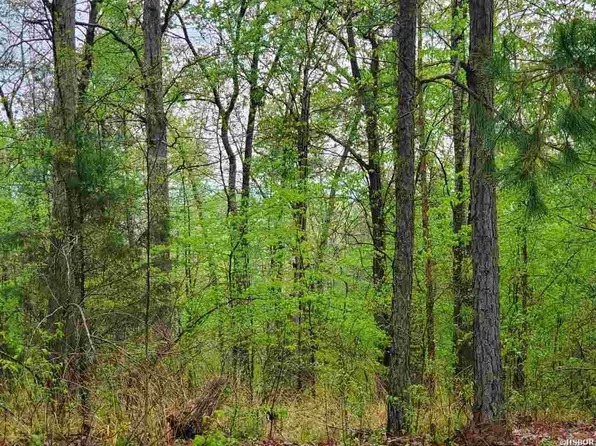 LOT 770-770A Plum Hollow Blvd, Hot Springs National Park, AR 71913