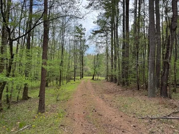 Lake Hardeman Rd, Saulsbury, TN 38067