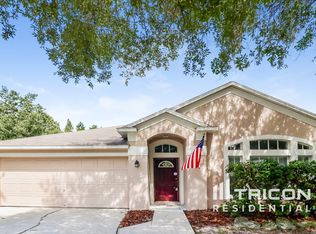 29225 Birds Eye Dr, Wesley Chapel, FL 33543