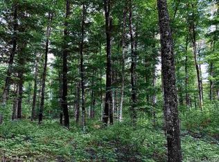 Camp 23 Rd, Germfask, MI 49836