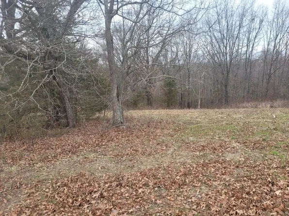 Lot 7 Songbird Road, Washburn, MO 65772