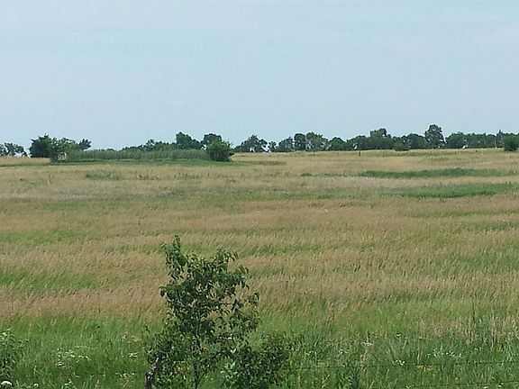 20150625_141534_resized_1